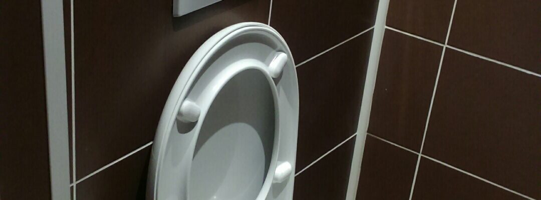 wc Pose de WC suspendus